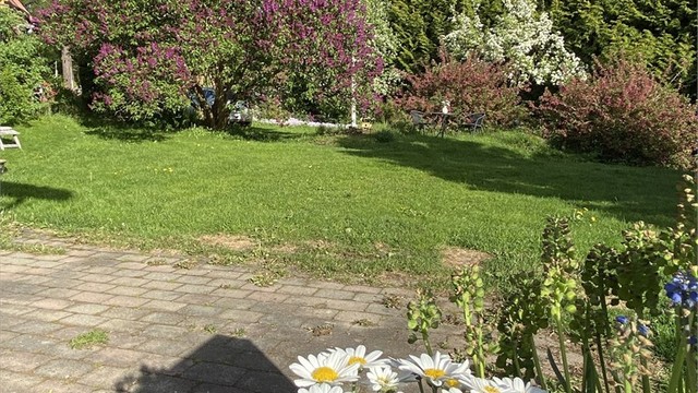 Selger sommerbilde