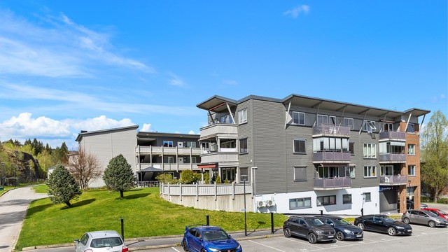 Fasade og innkjøring til sameiets grøntarealer