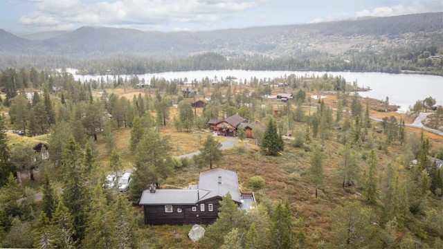 Fredrik Christoffersen presenterer: Vestre Solheimsbeitet 43!