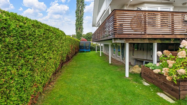 Skjermet hage med gressplen rammet inn av en velholdt hekk.