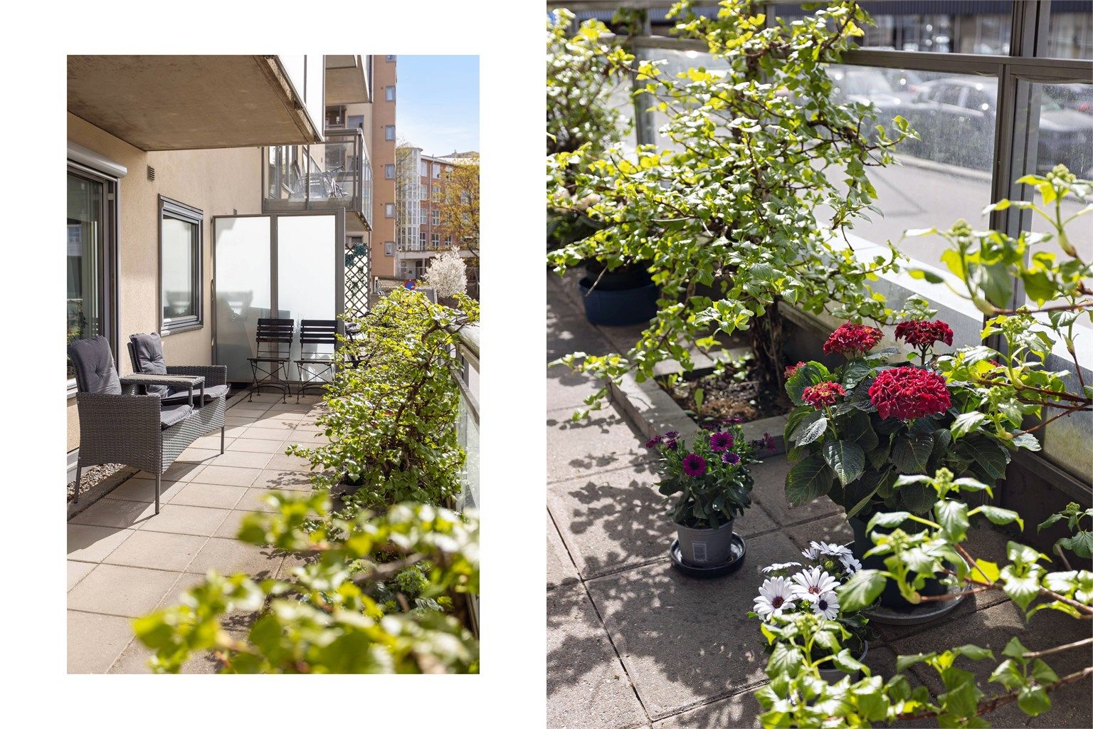 Frodig uteplass med god plass til å nyte sommerdagene.