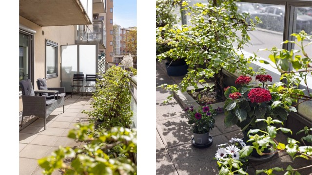 Frodig uteplass med god plass til å nyte sommerdagene.