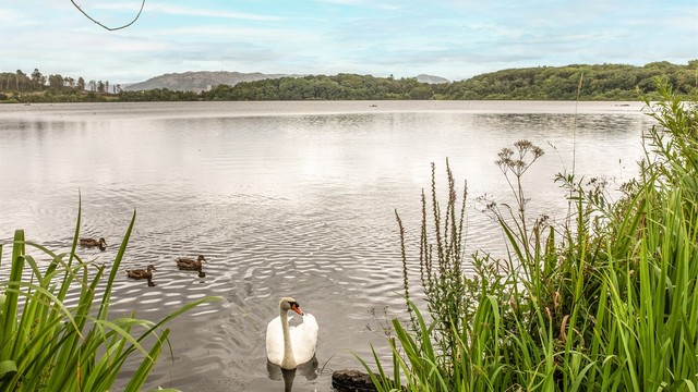 Området byr også på flotte rekreasjonsmuligheter. En løpetur eller en rolig søndagstur rundt Mosvatnet er en populær aktivitet for mange som bor her.