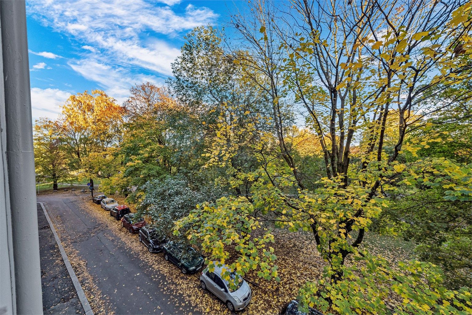 Her kan du nyte fuglekvitter midt i byen - sjeldent!