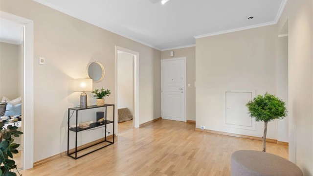 Entre med porttelefon. Gulv belagt med parkett. Slette, malte vegger.