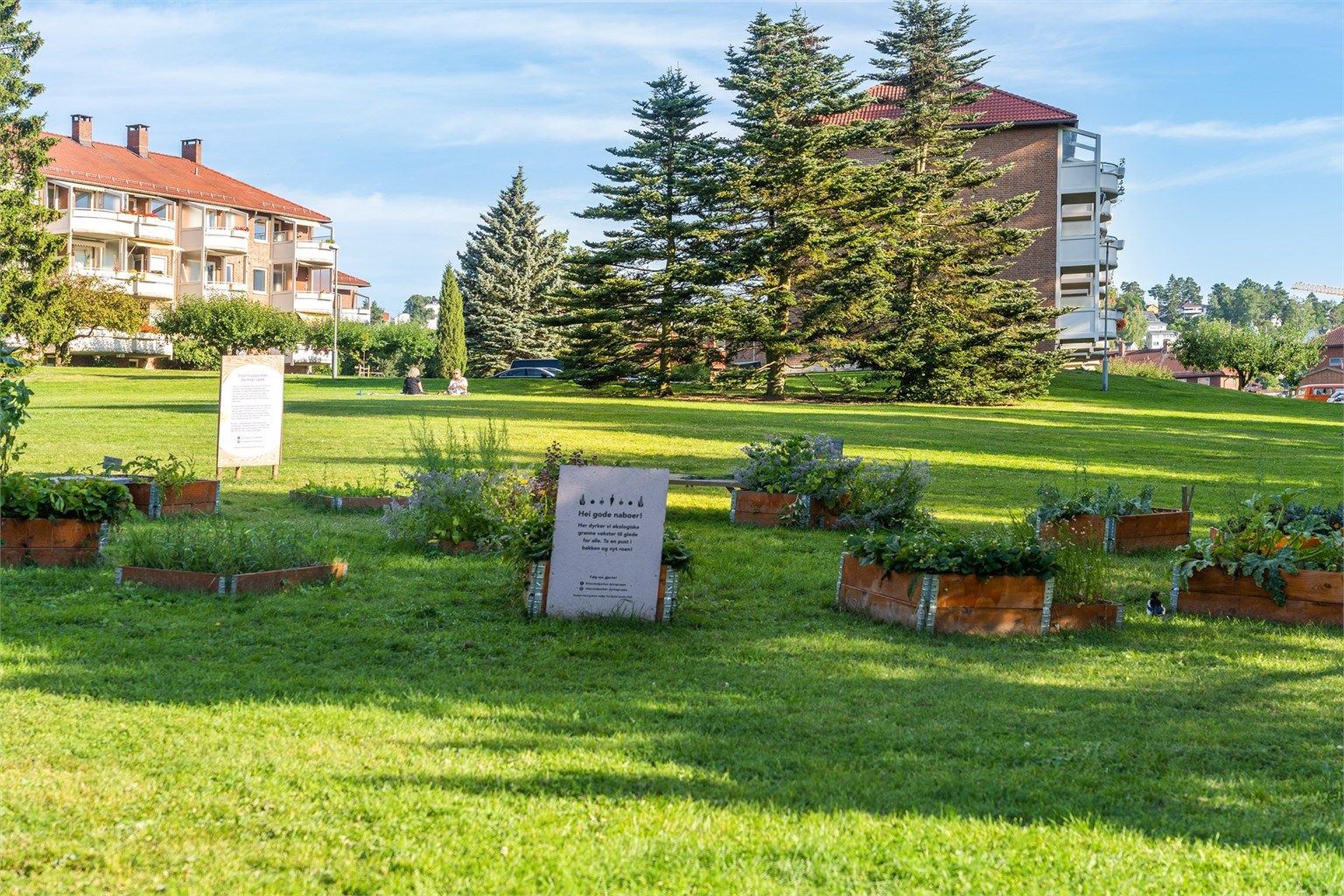 Etterstad dyrkegruppe fremmer godt naboskap gjennom felles dyrking i Etterstadparken. Du kan også få din egen dyrkekasse, bare spør borettslagets vaktmester (som også klipper gress og måker snø).