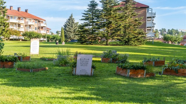 Etterstad dyrkegruppe fremmer godt naboskap gjennom felles dyrking i Etterstadparken. Du kan også få din egen dyrkekasse, bare spør borettslagets vaktmester (som også klipper gress og måker snø).