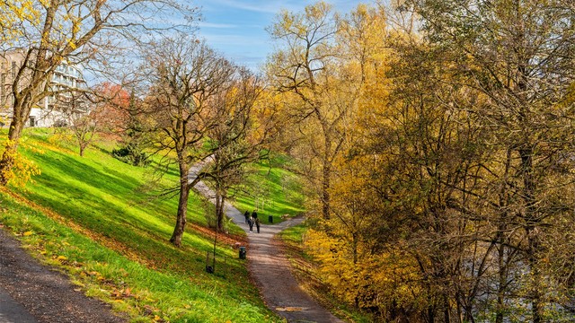 Fine turområder langs Akerselva rett ved