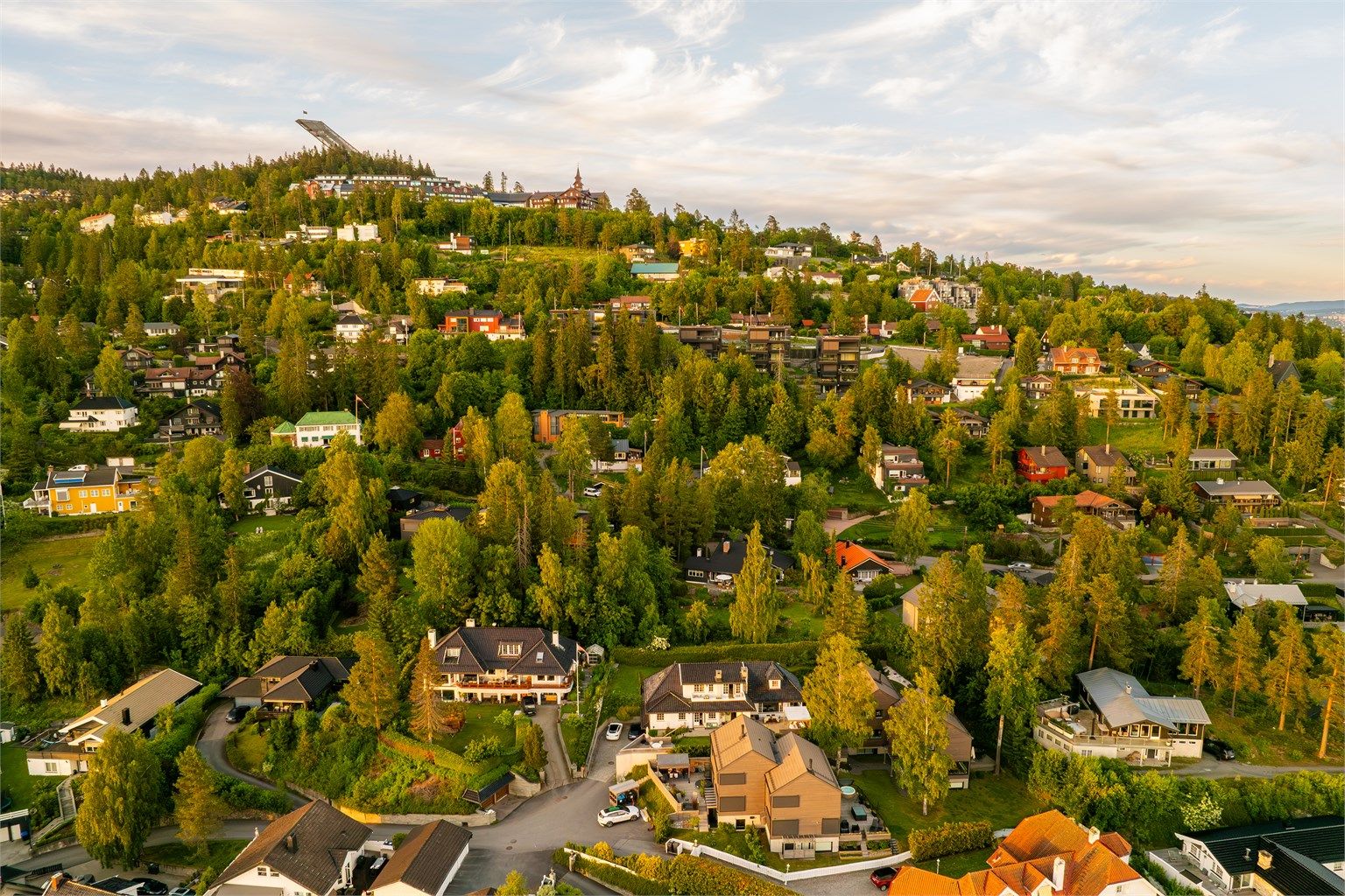Nærområdet. 