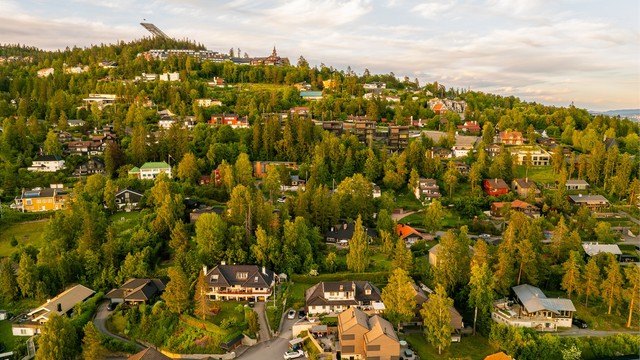 Nærområdet.