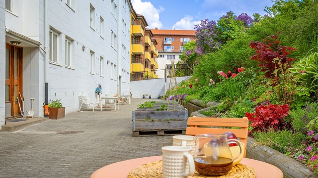 I bakgården er det plantet urter til felles bruk, og det er mulighet for å etablere private grønnsakskasser.