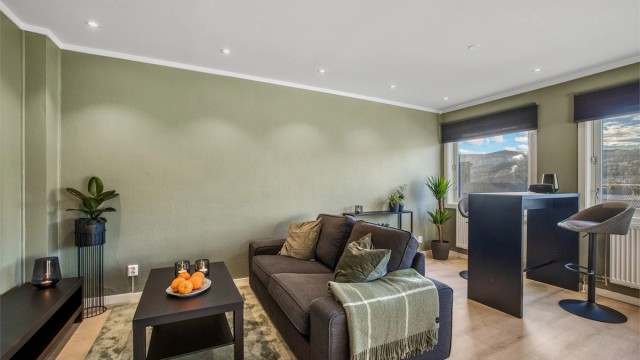 Lekker 1-roms eierleilighet, som ble oppusset i 2022.
Foto: Haiman Askari