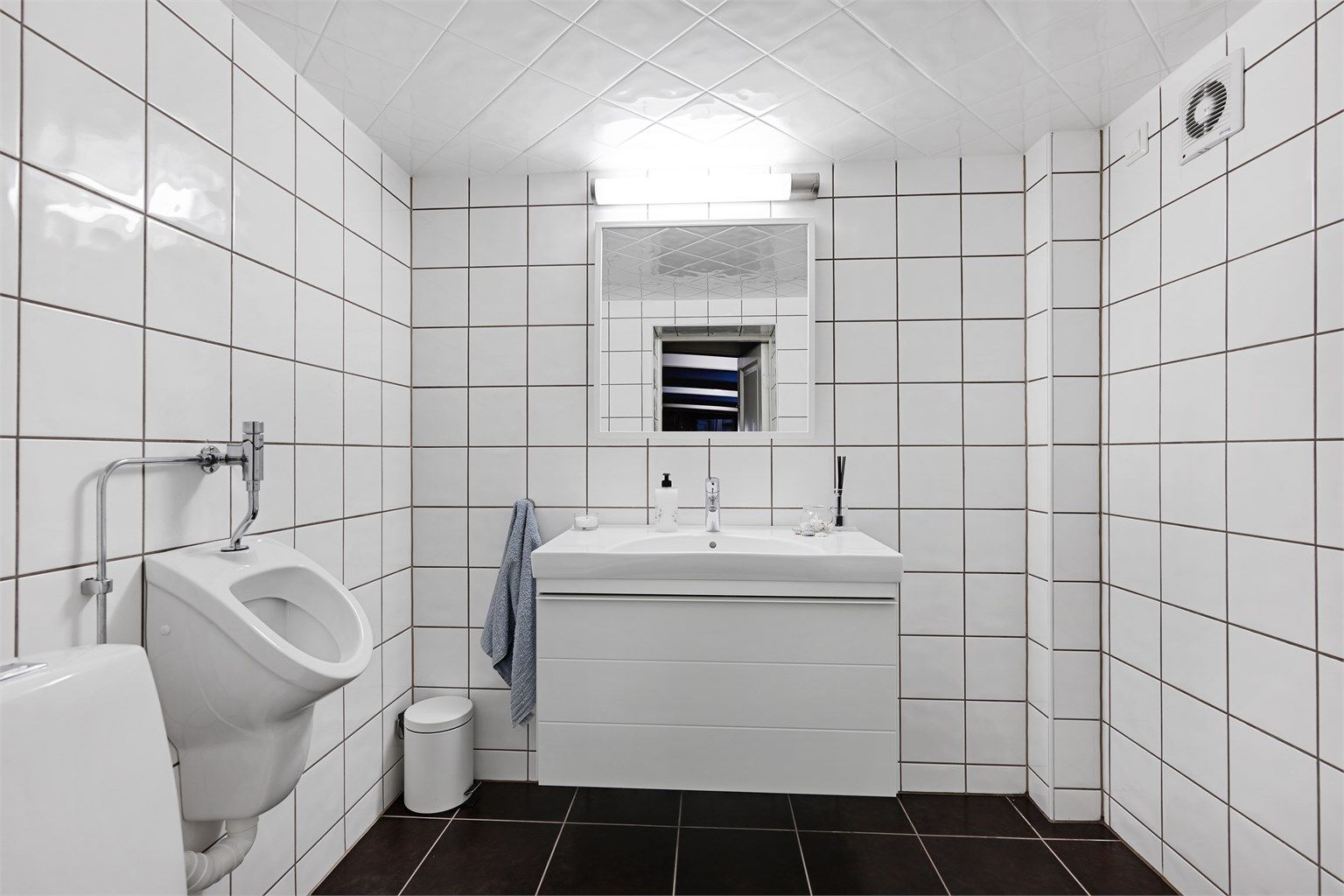 Toalettrom i kjelleren, utstyrt med toalett, urinal og servant. (Ikke godkjent til varig opphold)