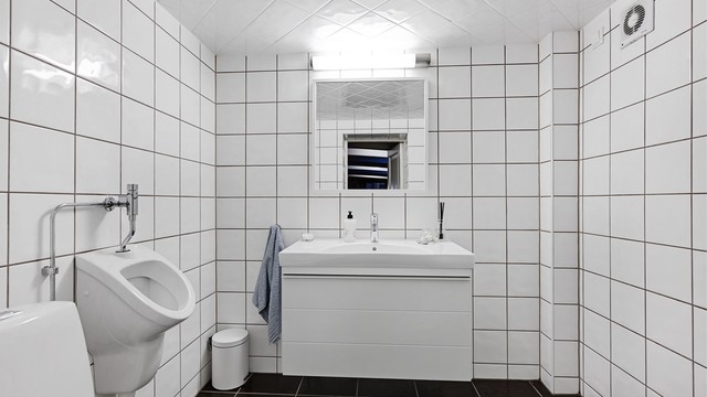 Toalettrom i kjelleren, utstyrt med toalett, urinal og servant. (Ikke godkjent til varig opphold)