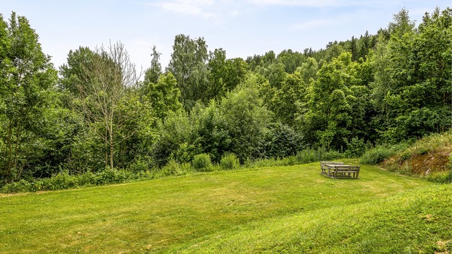 Pent opparbeidet fellesarealer med plen, hekk og diverse beplantninger.