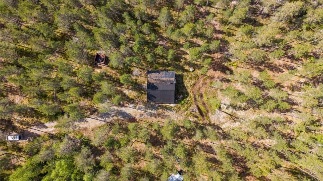 Skogshusværet sett fra luften, omkranset av skog.