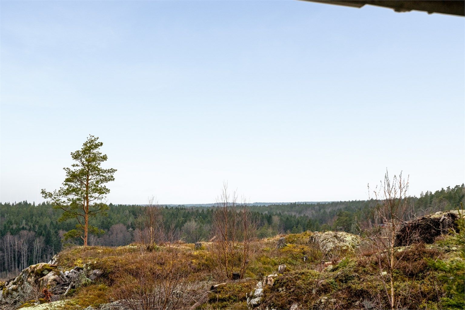 Langstrakt utsikt sees også langt over skogene i sørvest - her fremhevet med zoom.