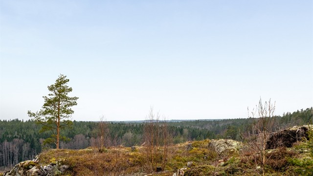 Langstrakt utsikt sees også langt over skogene i sørvest - her fremhevet med zoom.