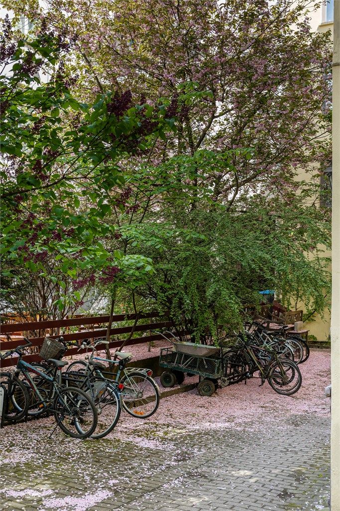 God plass til sykkelparkering i bakgården.