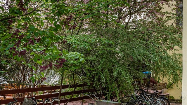 God plass til sykkelparkering i bakgården.