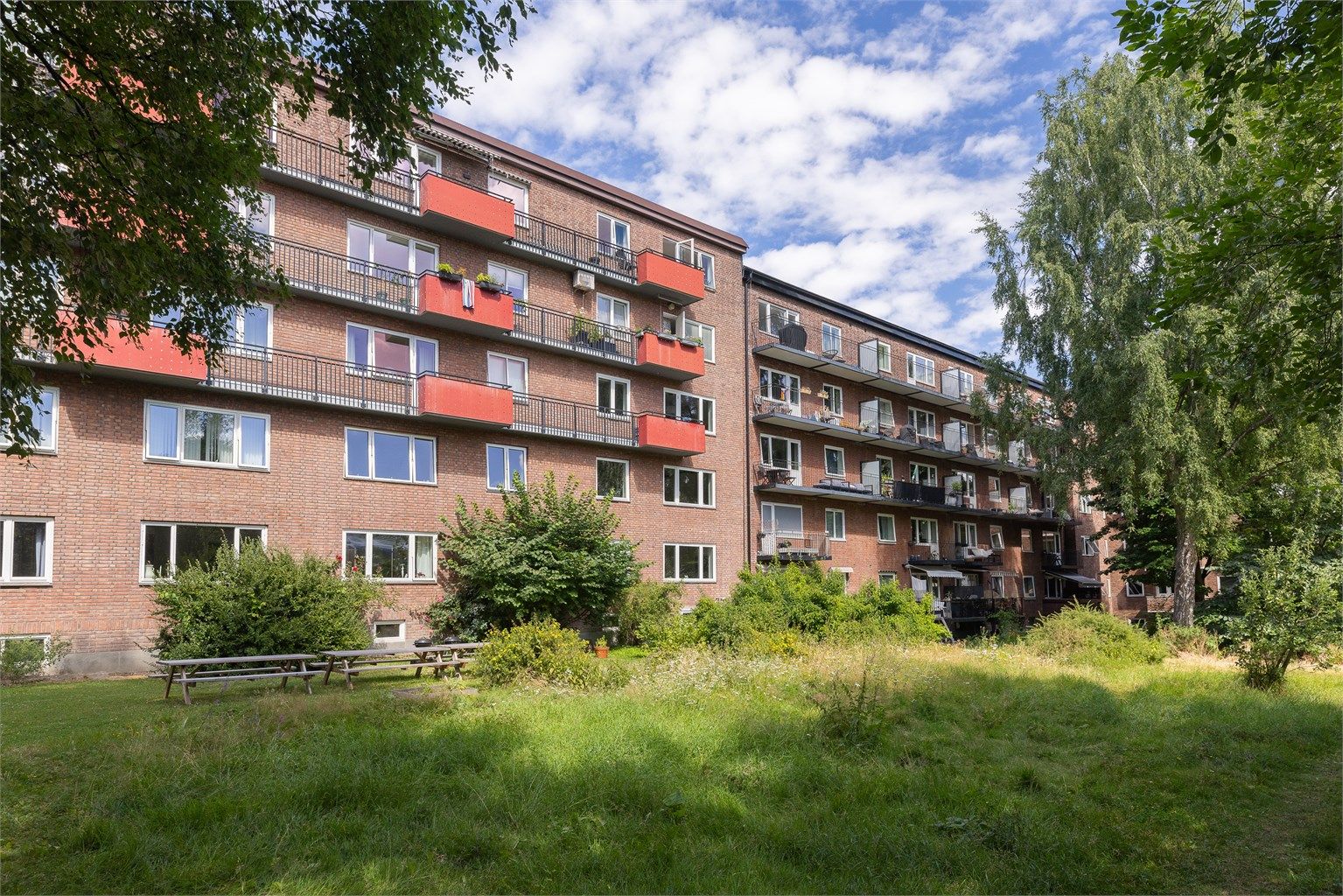 En stor, frodig og usjenert bakgård – en grønn oase som gir leiligheten en rolig ramme midt i byen.