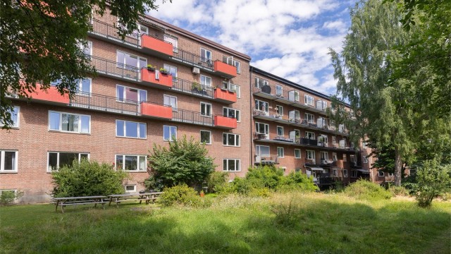 En stor, frodig og usjenert bakgård – en grønn oase som gir leiligheten en rolig ramme midt i byen.
