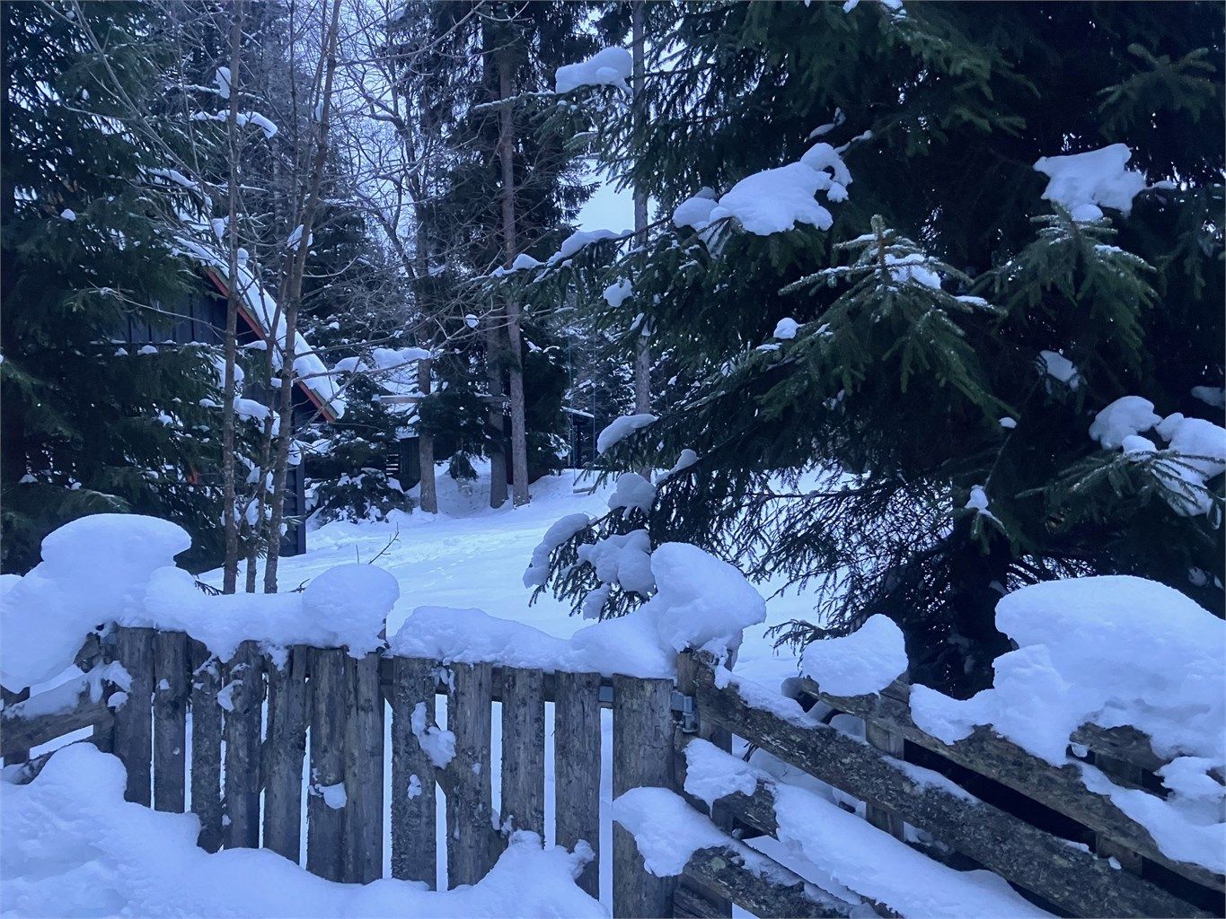Selgers private bilder - vinter 2026