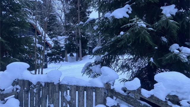 Selgers private bilder - vinter 2026