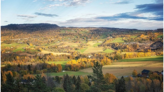 Utsikt - Nærområdet.
Fotograf: Ann Thomstad