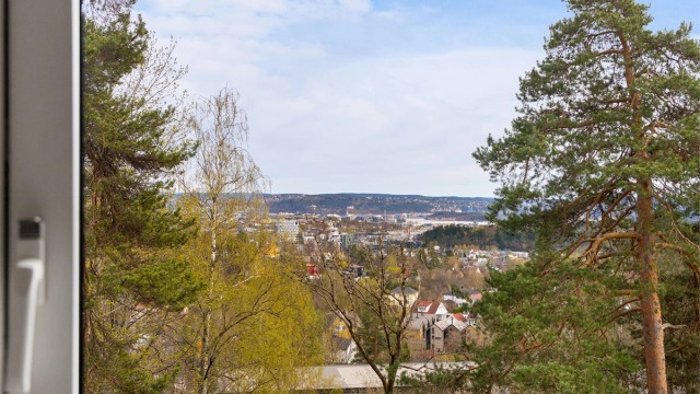 Leiligheten ligger høyt og fritt til, med utsyn over grønne omgivelser. Foto: Trond Walsø / Walso Work