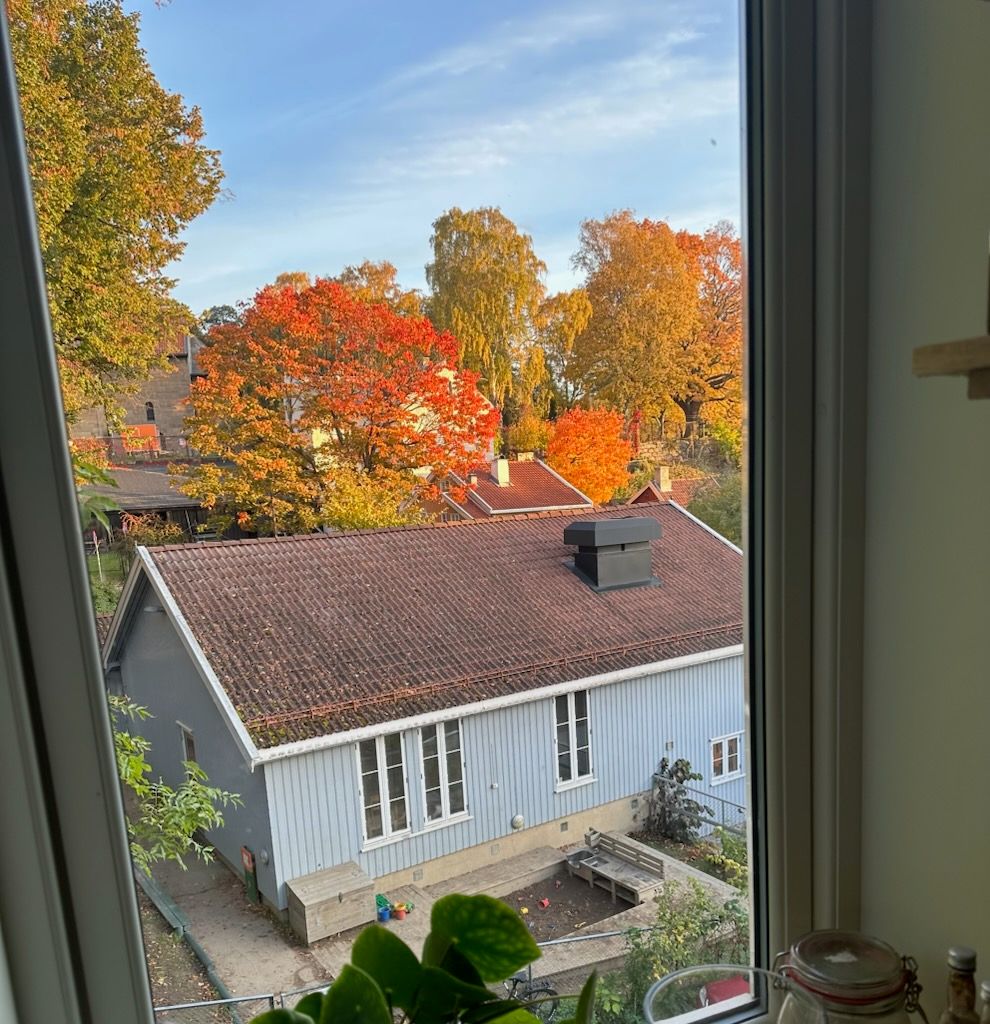 Bilde tatt av selger