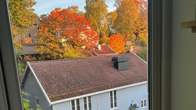 Bilde tatt av selger