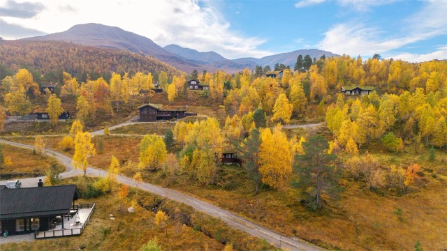 Etablert hytteområde i Fausadalen, ca. 9 km fra Sunnmørsalpane Skiarena på Fjellsætra.