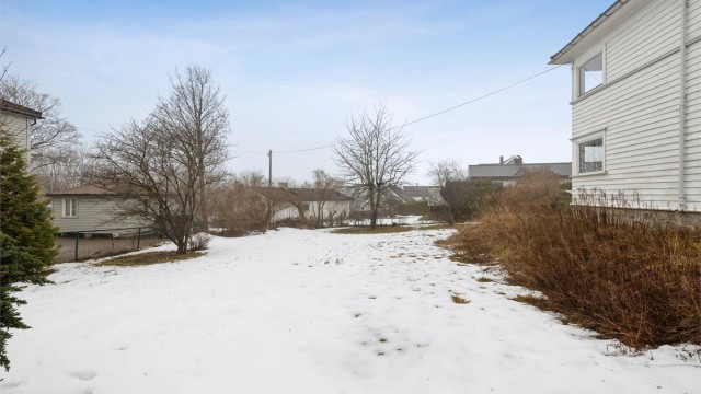 Hagen er opparbeidet med gressplen, trær og diverse beplantning.