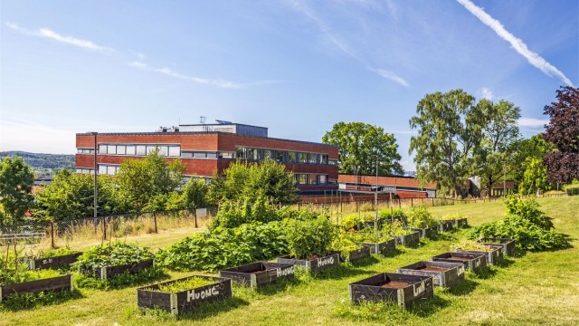 Et hyggelig tilbud for beboerne er de felles dyrkingskassene, hvor du kan dyrke alt fra krydderurter til grønnsaker gjennom sesongen.