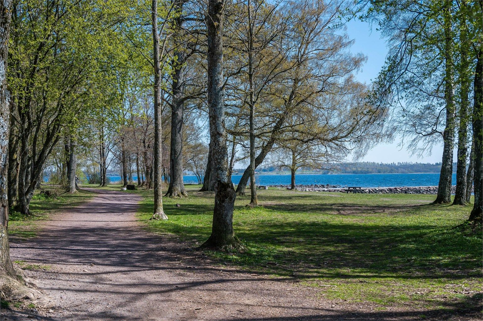Turstiene i Borrehaugene snor seg gjennom parklandskapet og langs Oslofjorden.