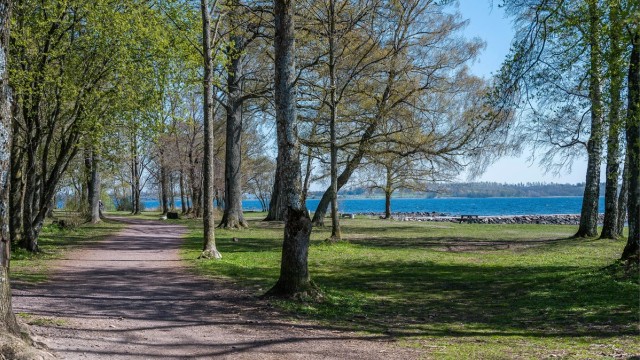 Turstiene i Borrehaugene snor seg gjennom parklandskapet og langs Oslofjorden.