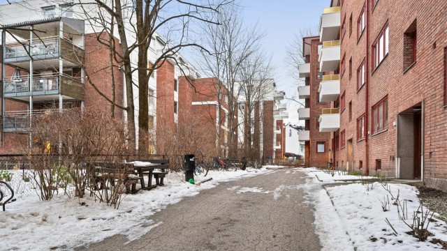 Felles tomt opparbeidet med blant annet: Asfalterte internveier, gressplen, trær, prydbusker og diverse beplantning.