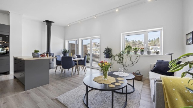 Stor stue med peisovn og lyse flater.