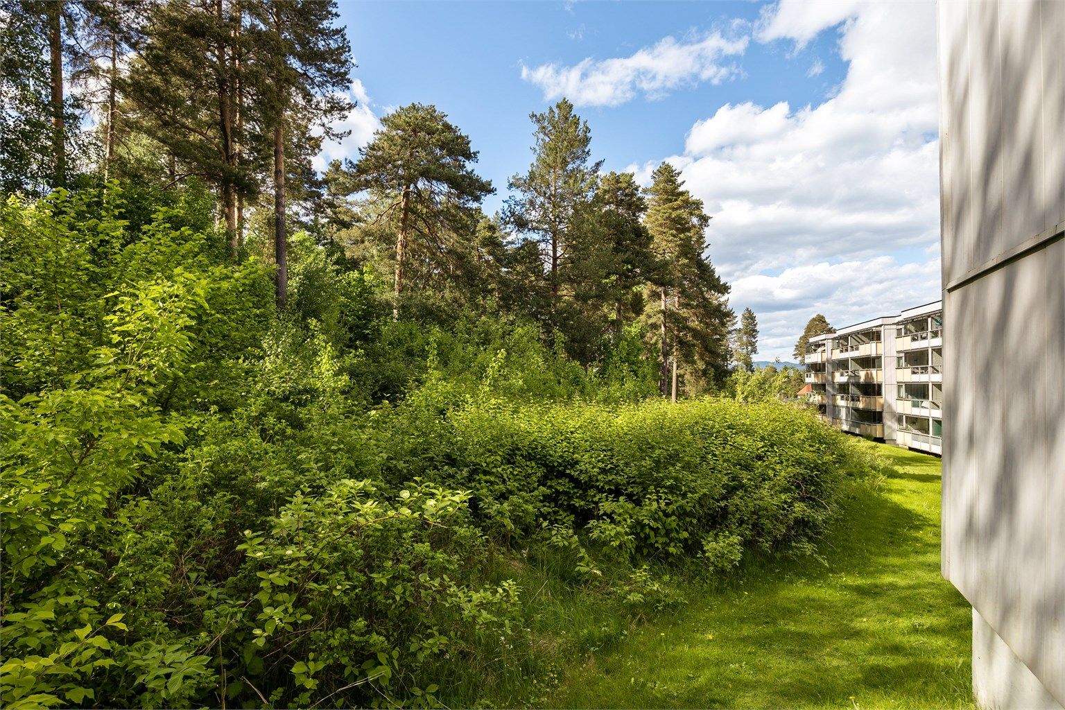 Leiligheten ligger skjermet til, med felles grøntarealer og natur rett utenfor.