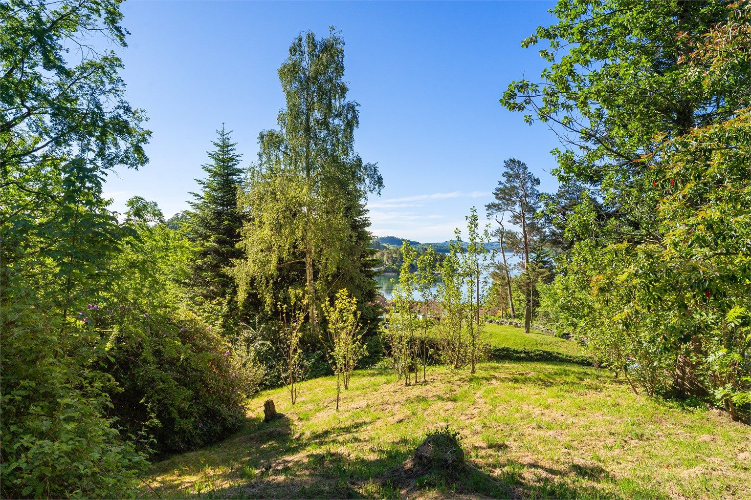 Eiendommen er omkranset av frodig, grønn natur.