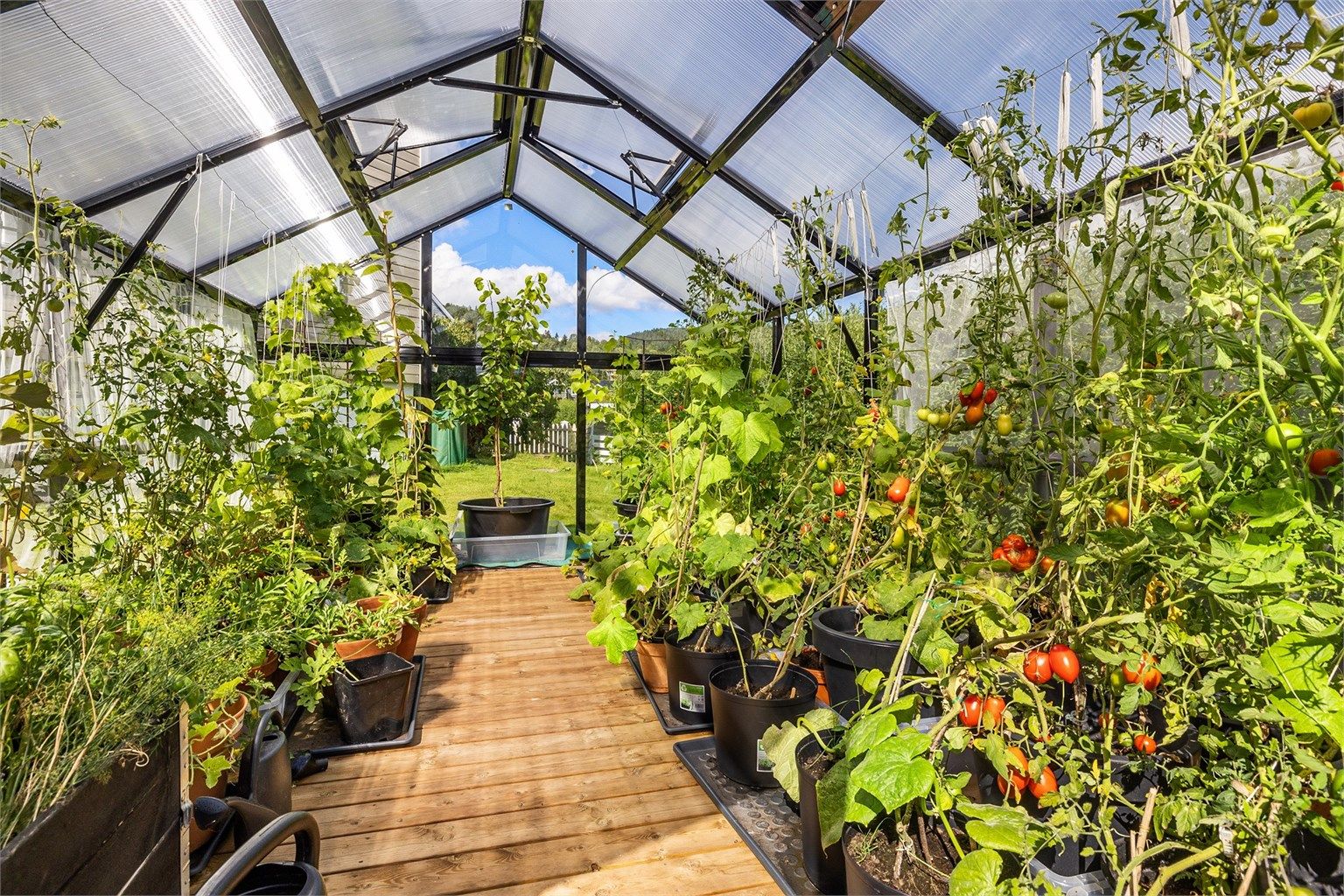 Borettslaget har ett eget hagelag med drivhus og pallekarmer med vekster, hvor man kan bli med om man ønsker