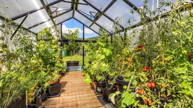 Borettslaget har ett eget hagelag med drivhus og pallekarmer med vekster, hvor man kan bli med om man ønsker