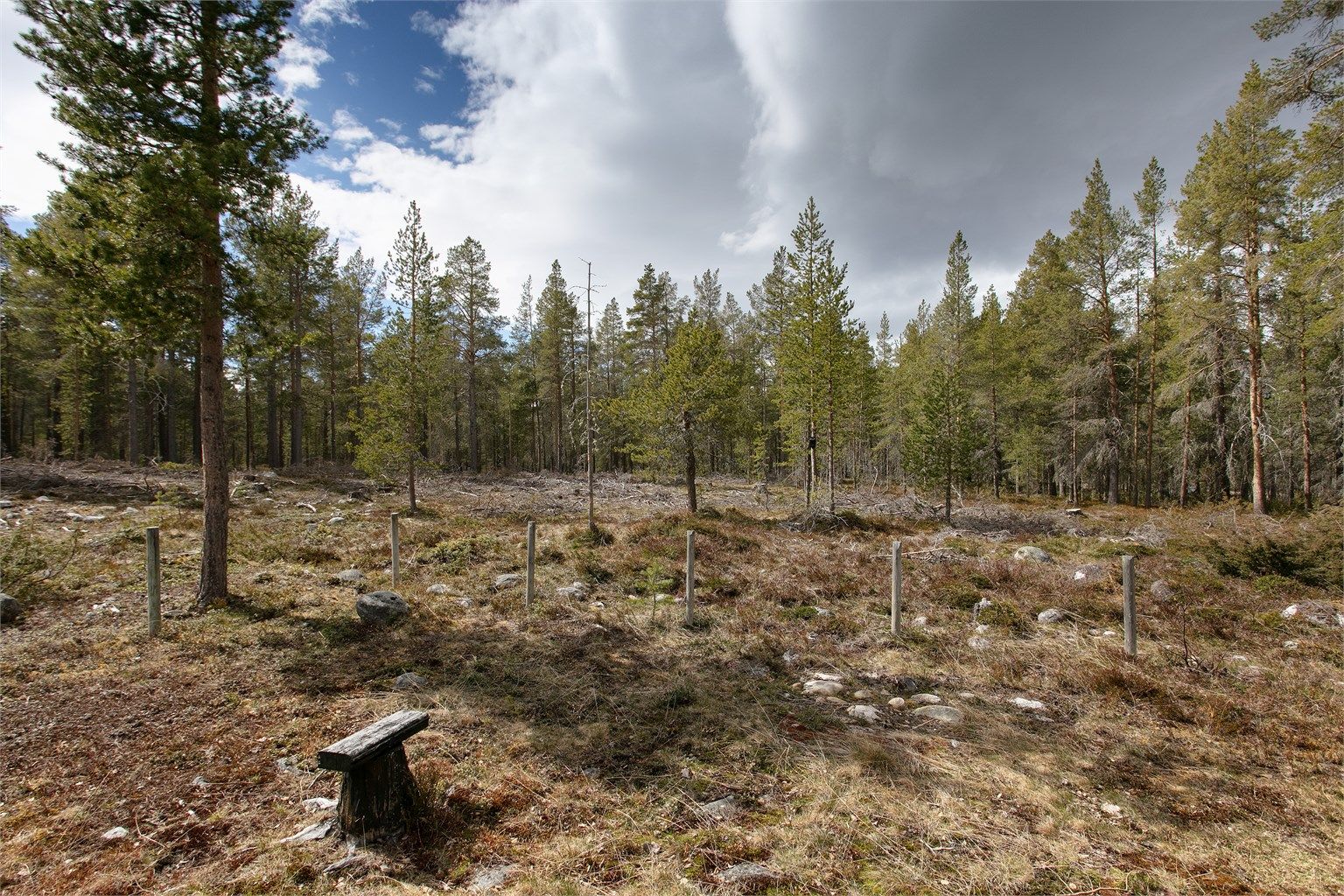 Tomten er omgitt av et variert landskap med skog og fjell.
