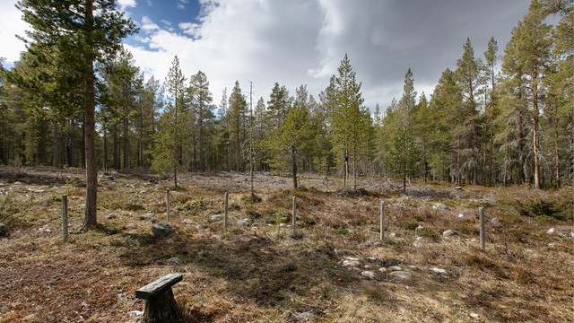 Tomten er omgitt av et variert landskap med skog og fjell.