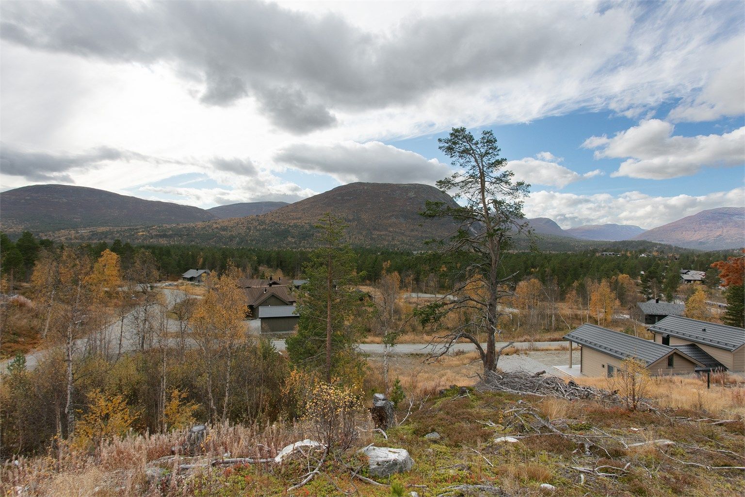 Utsikt sydover