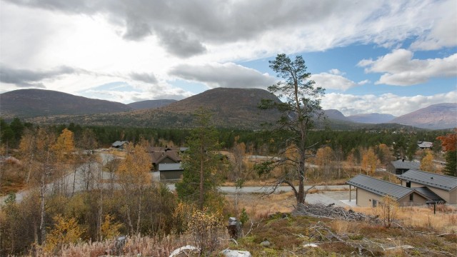 Utsikt sydover