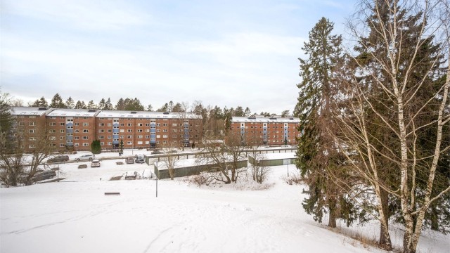 Fra leiligheten har du utsikt over rolige omgivelser og skogholt.