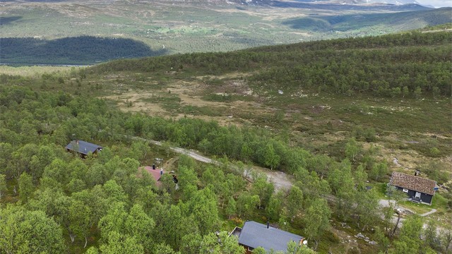 Dalsida er en ypperlig beliggenhet for de som ønsker enkel tilgang på fiskemuligheter i både vann og elver, samt småvilt jakt.