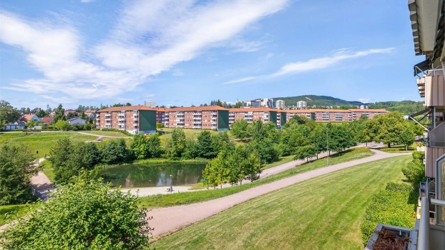 Meget fin utsikt mot Bjerkedalen park
